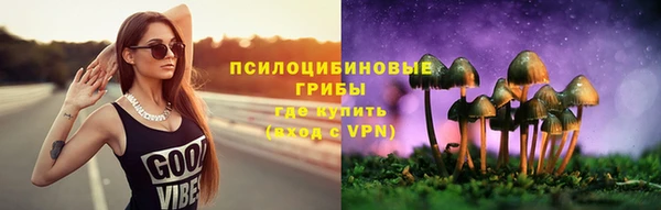 сатива Нефтекумск
