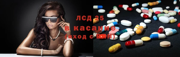 сатива Нефтекумск