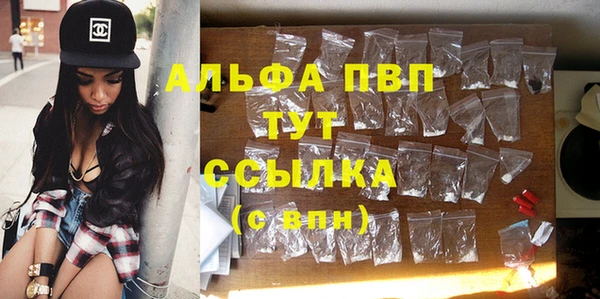 сатива Нефтекумск