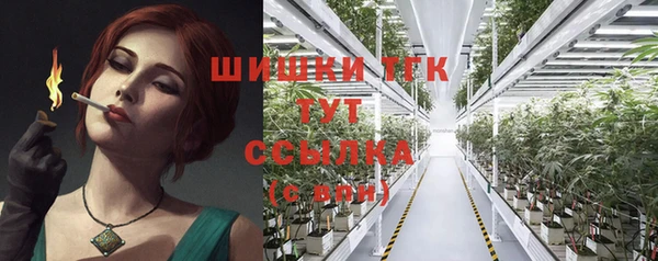сатива Нефтекумск