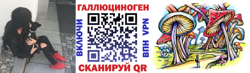 Псилоцибиновые грибы мухоморы  Зима 