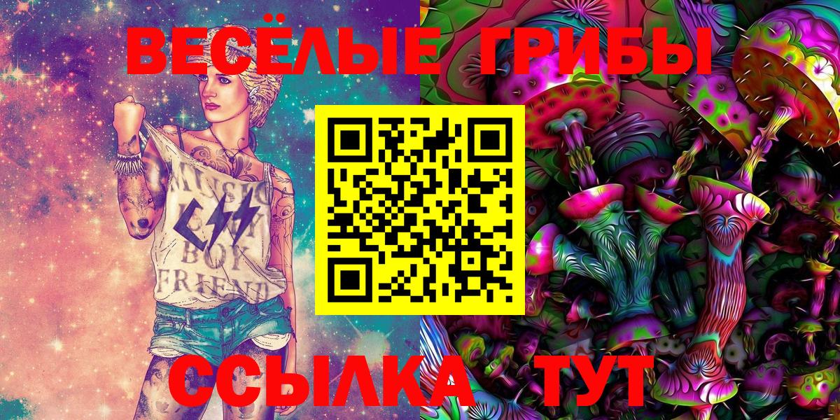 Псилоцибиновые грибы Cubensis Зима