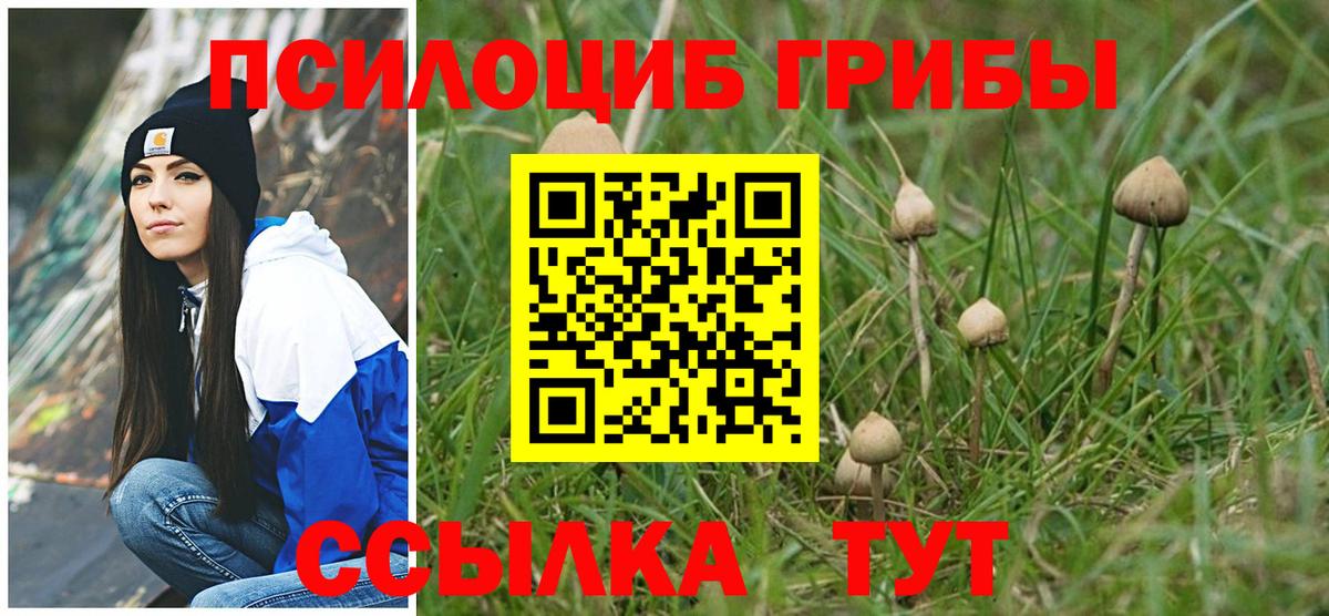 Галлюциногенные грибы Psilocybe  Псилоцибиновые грибы ЛСД  Зима 