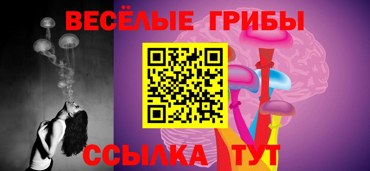 Галлюциногенные грибы мухоморы  Вход с VPN  Зима 
