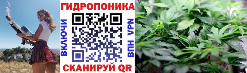 Бошки Шишки сатива Зима